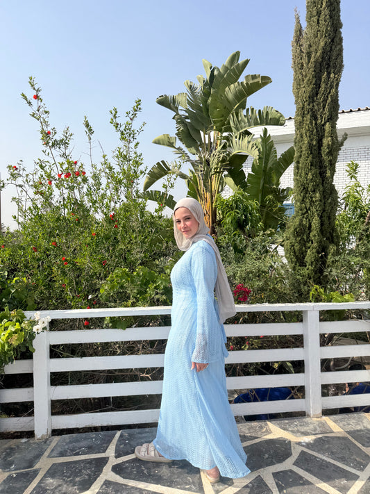 Blue mesh dress